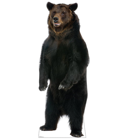 Life-size Brown Bear Cardboard Cutout - All Cutouts