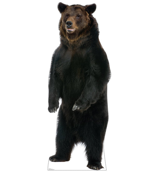 Life-size Brown Bear Cardboard Cutout - All Cutouts