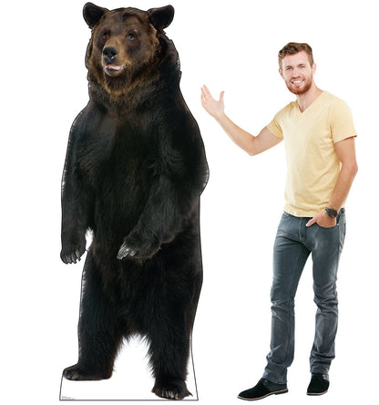 Brown Bear Talking Life-Size Cardboard Cutout - All Cutouts