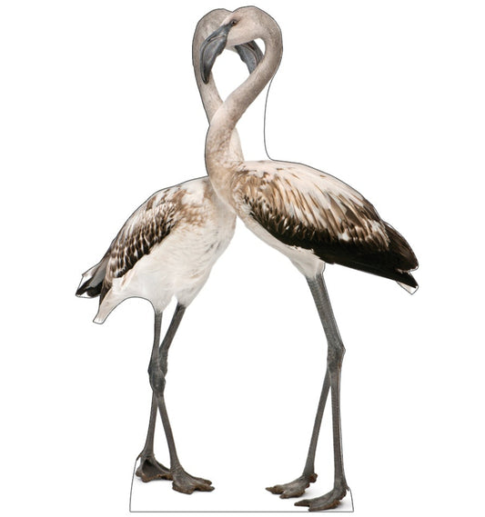 Life-size Flamingos - Love Birds Cardboard Standup - All Cutouts