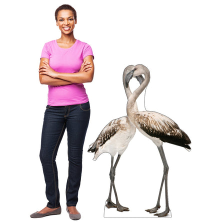 Life-size Flamingos - Love Birds Cardboard Standup - All Cutouts