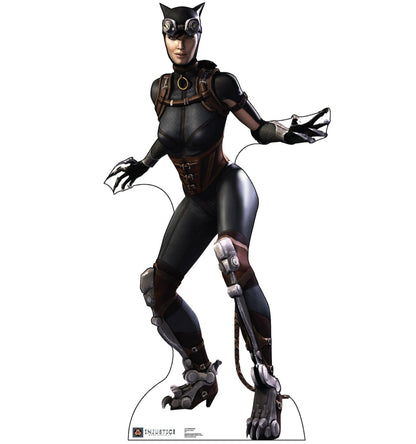 Life-size Catwoman Injustice Gods Among Us Cardboard Cutout - All Cutouts