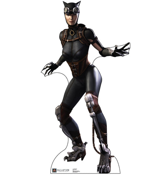 Life-size Catwoman Injustice Gods Among Us Cardboard Cutout - All Cutouts