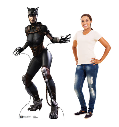 Life-size Catwoman Injustice Gods Among Us Cardboard Cutout - All Cutouts