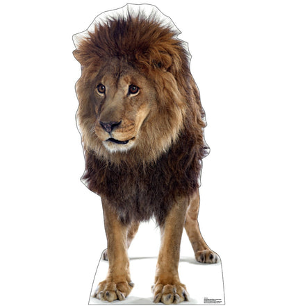 Life-size Lion 2 Cardboard Cutout Standee - All Cutouts