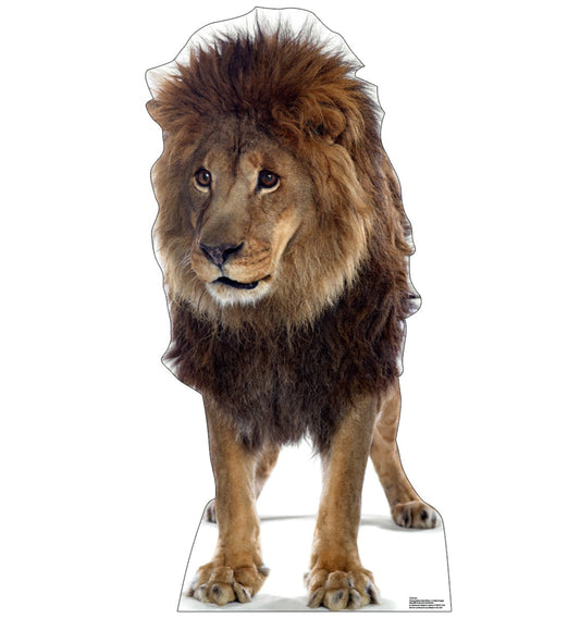 Life-size Lion 2 Cardboard Cutout Standee - All Cutouts