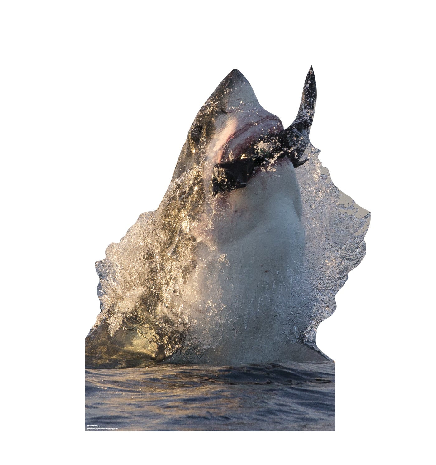 Life-size Great White Shark Cardboard Cutout