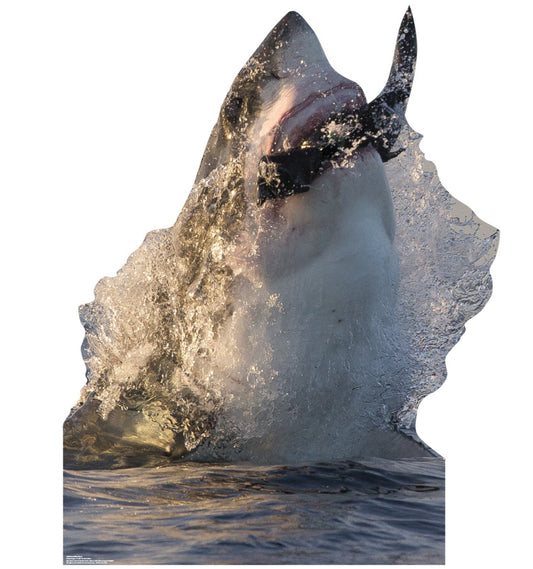 Life-size Great White Shark Cardboard Cutout - All Cutouts