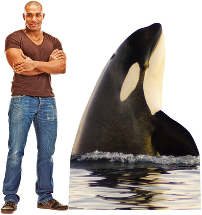 Life-size Killer Whale Cardboard Standup - All Cutouts
