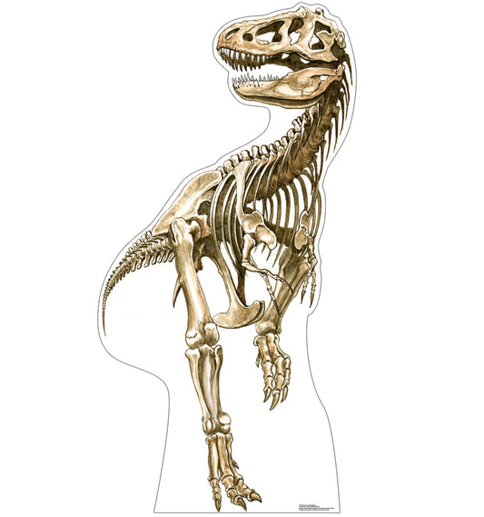 Tyrannosaurus Rex Skeleton Cardboard Cutout - All Cutouts