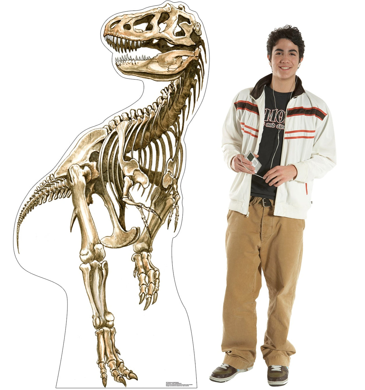Tyrannosaurus Rex Skeleton Cardboard Cutout - All Cutouts