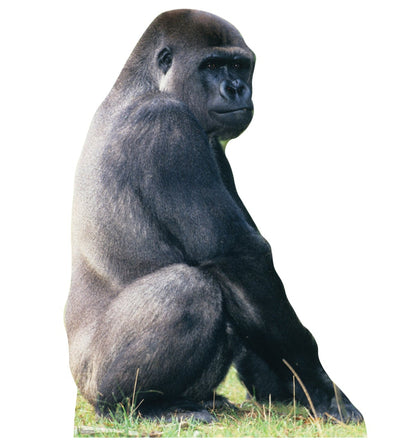 Life-size Silverback Gorilla Cardboard Cutout - All Cutouts