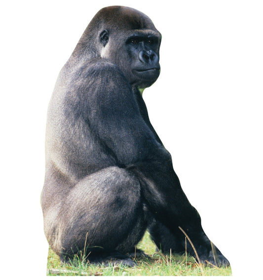 Life-size Silverback Gorilla Cardboard Cutout - All Cutouts