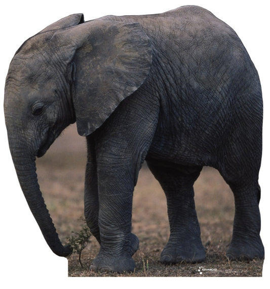 Baby Elephant Talking Life-Size Cardboard Cutout - All Cutouts