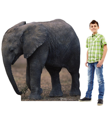 Life-size Baby Elephant Cardboard Standup | Cardboard Cutout - All Cutouts