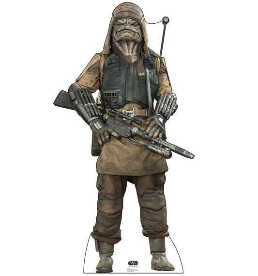 Life-size Pao (Rogue One) Cardboard Cutout - All Cutouts