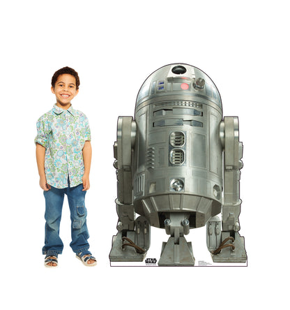 Life-size R2-BHD (Rogue One) Cardboard Cutout - All Cutouts