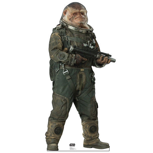 Life-size Bistan Rogue One Cardboard Cutout - All Cutouts