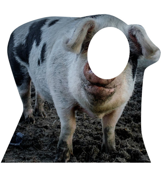 Life-size Pig Stand-In Cardboard Standup - All Cutouts
