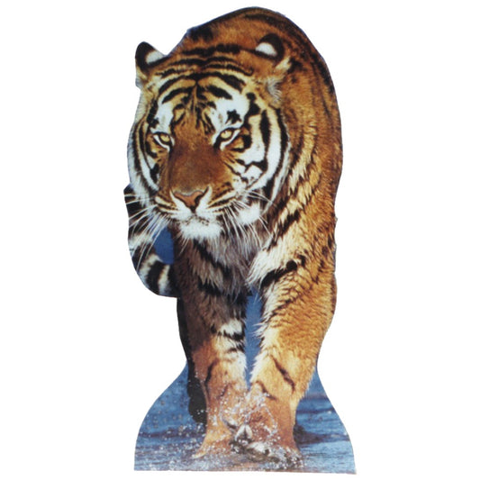 Life-size Tiger Cardboard Standup | Cardboard Cutout - All Cutouts