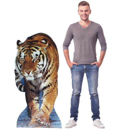 Tiger Talking Life-Size Cardboard Cutout - All Cutouts