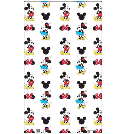 Life-Size Mickey and Minnie Step and Repeat Standup - All Cutouts