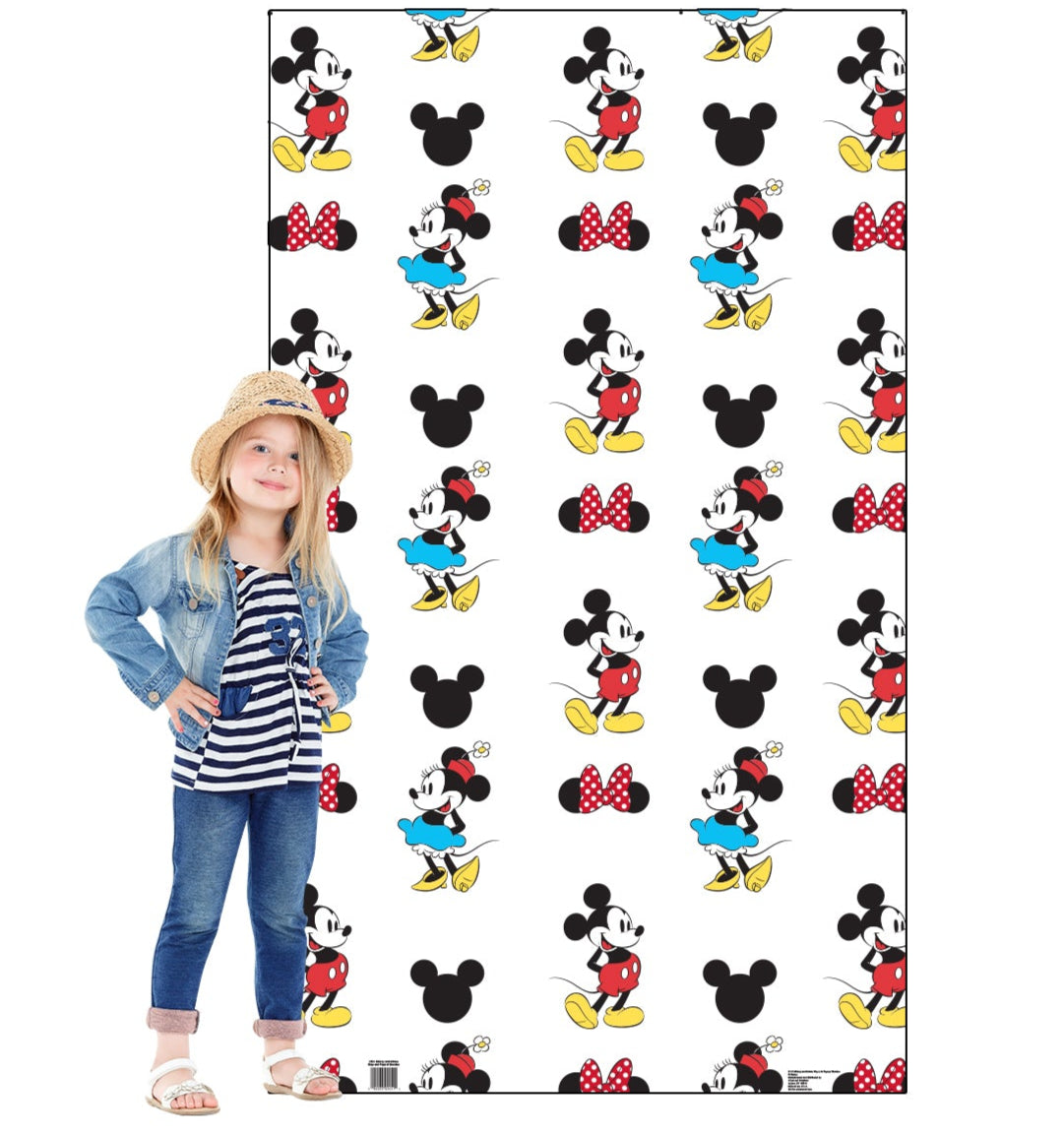 Life-Size Mickey and Minnie Step and Repeat Standup - All Cutouts