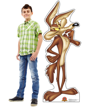 Life-Size Wile E. Coyote Cardboard Cutout - All Cutouts