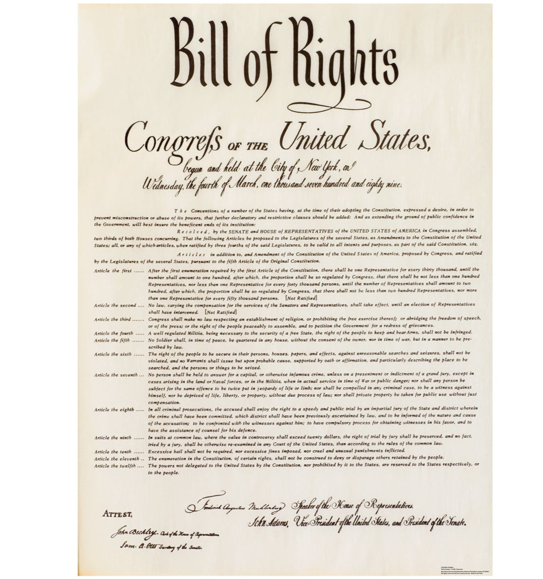Life-Size Bill of Rights Cardboard Cutout - All Cutouts