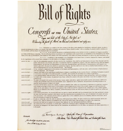Life-Size Bill of Rights Cardboard Cutout - All Cutouts