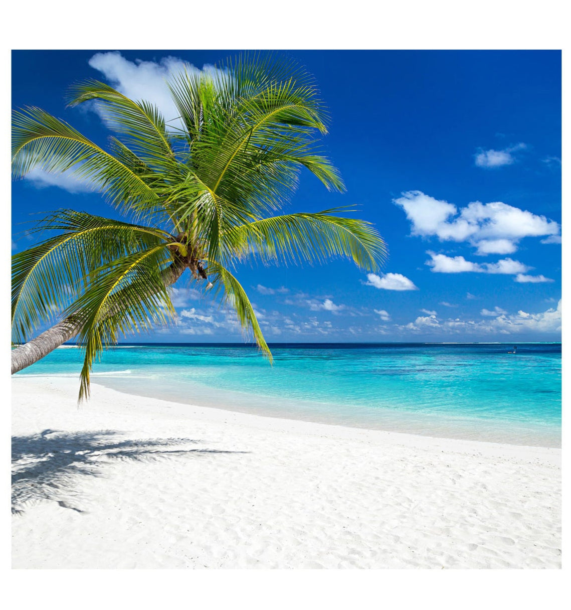 Tropical Beach Cardboard Backdrop - All Cutouts