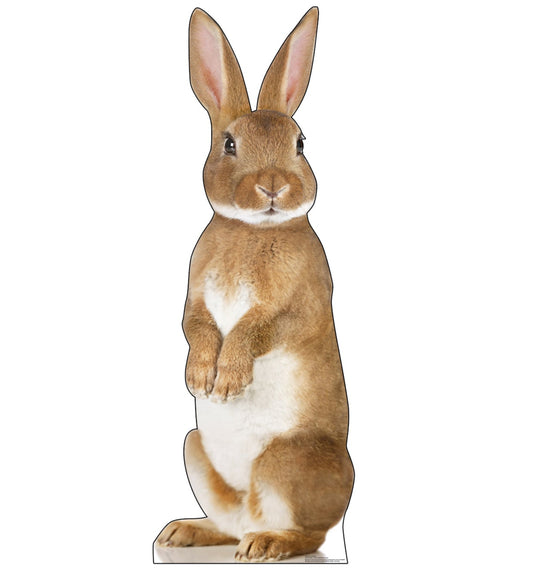 Life-Size Bunny Rabbit Cardboard Cutout - All Cutouts