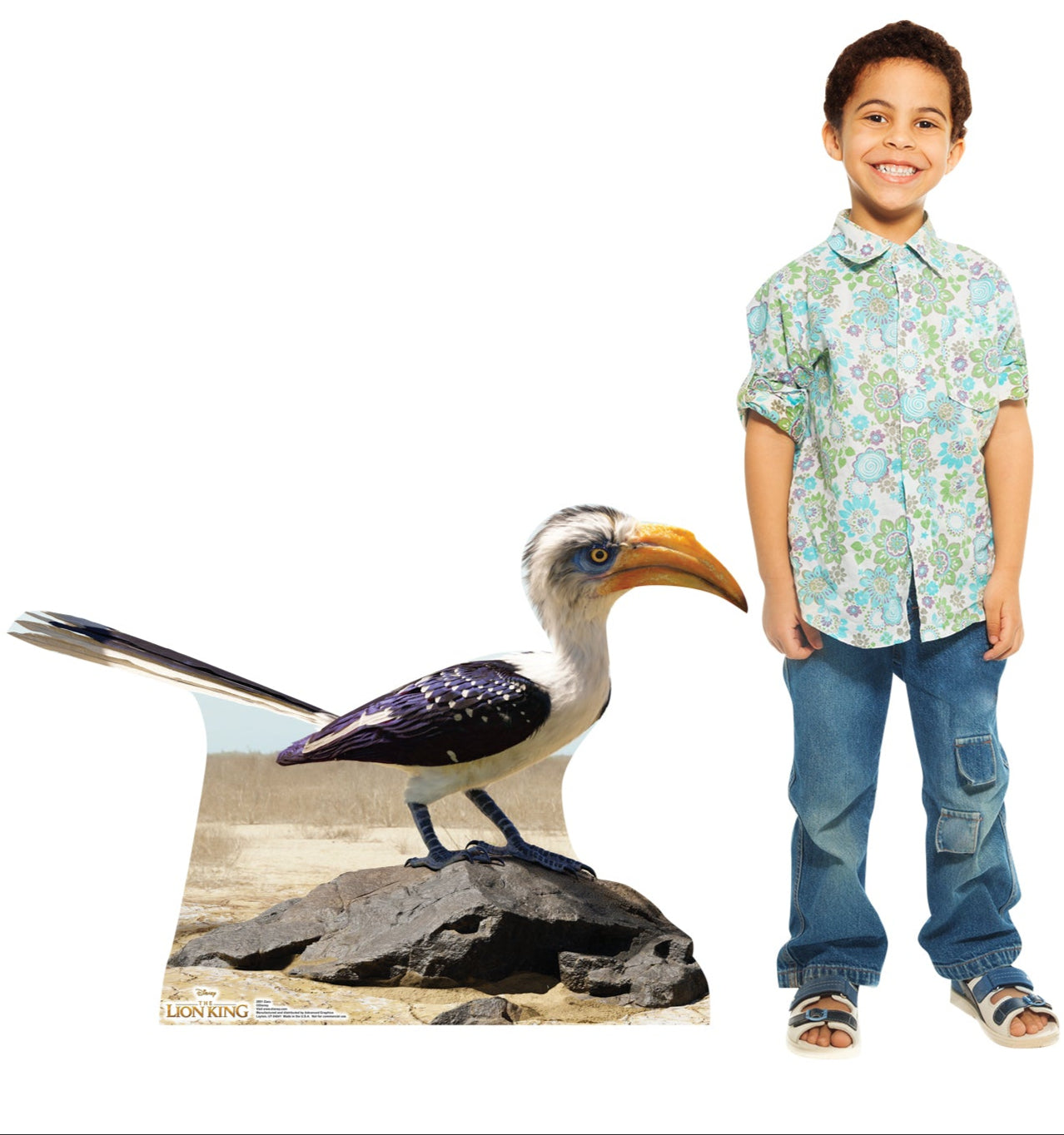 Life-Size Zazu Cardboard Cutout - All Cutouts