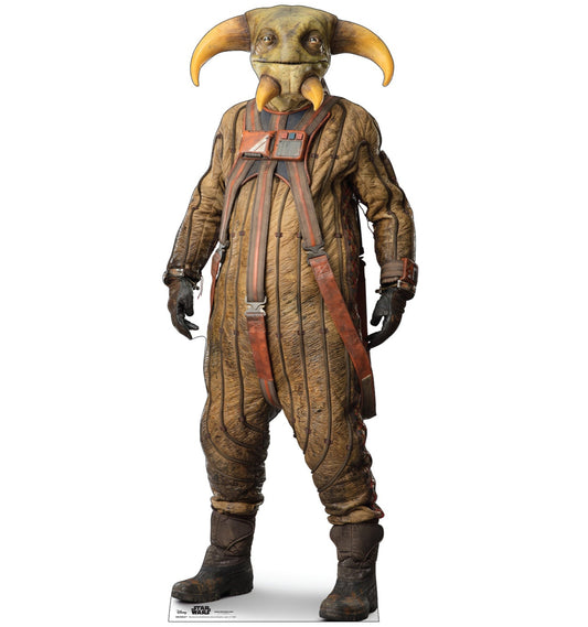 Life-Size Boolio (Star Wars IX) Cardboard Cutout - All Cutouts