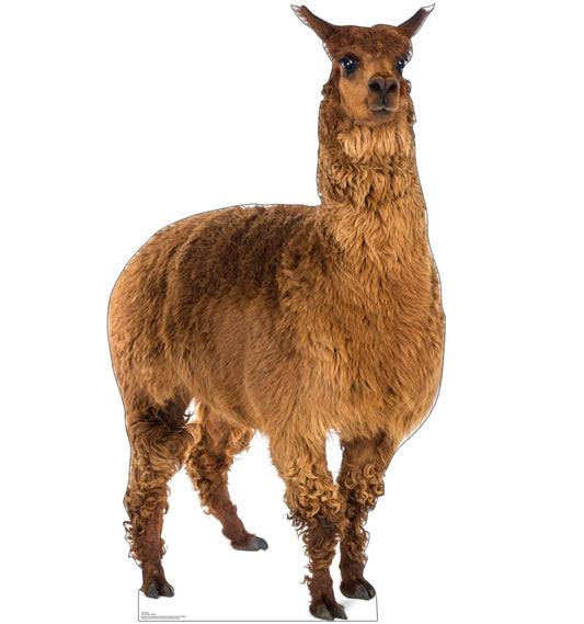 Life-Size Llama Cardboard Cutout - All Cutouts