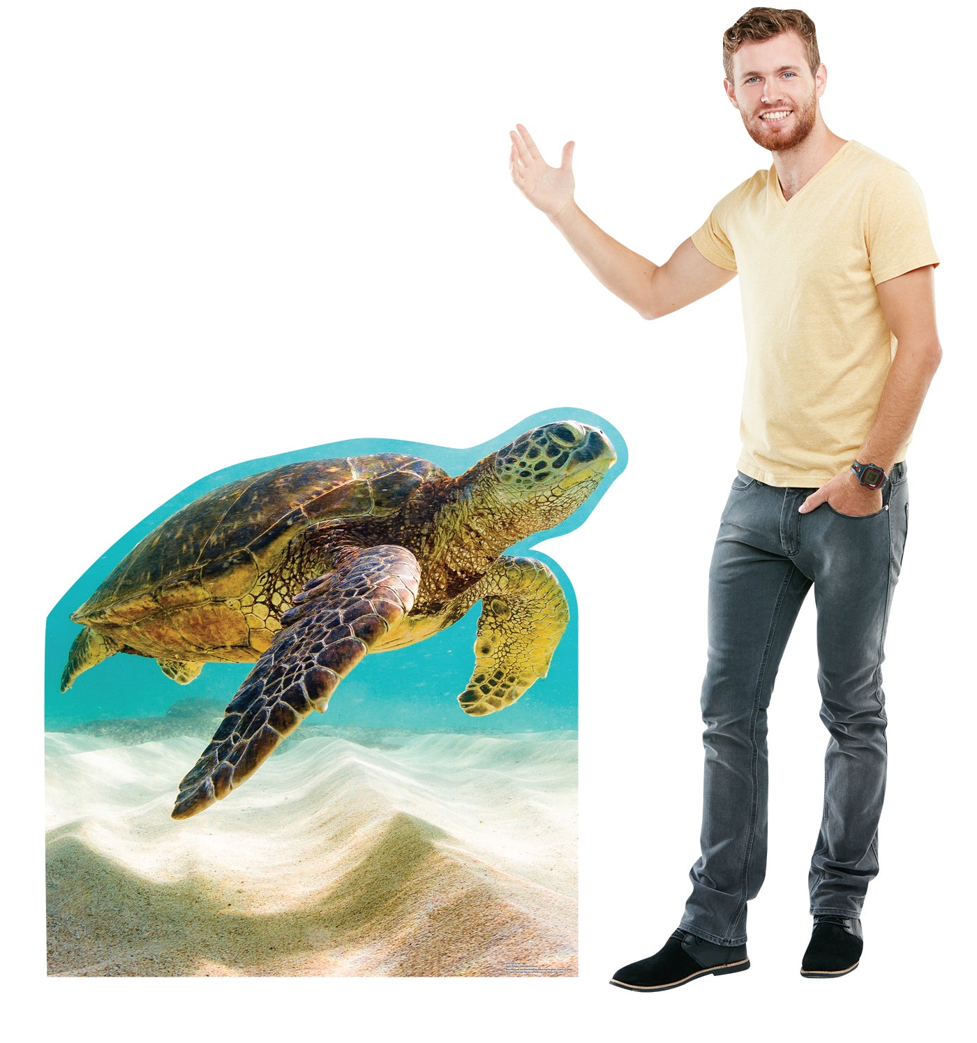 Life-Size Sea Turtle Cardboard Cutout - All Cutouts