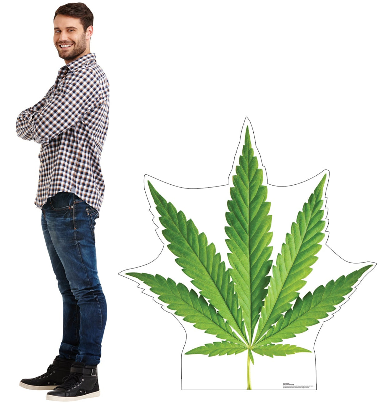 Life-Size Cannabis Leaf Cardboard Cutout - All Cutouts