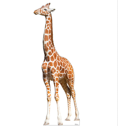 Life-Size Giraffe Cardboard Cutout - All Cutouts