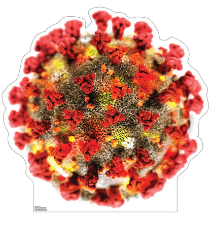 Life-Size Coronavirus Cardboard Standee - All Cutouts