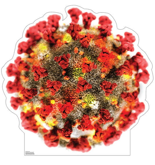 Life-Size Coronavirus Cardboard Standee - All Cutouts