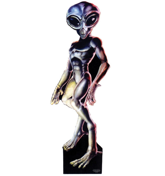 Life-size Roswell Alien Male Cardboard Cutout - All Cutouts
