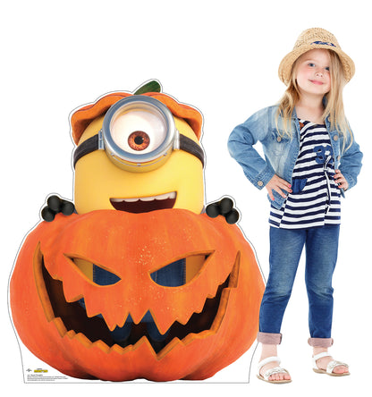 Life-Size Cardboard Cutout of Stuart in a Pumpkin