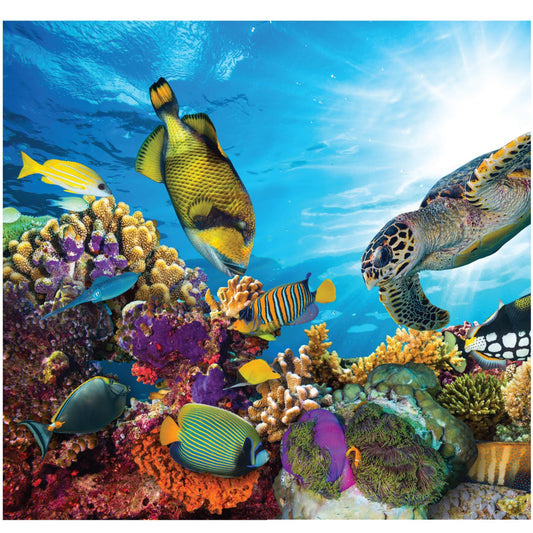 Coral Reef Life-Size Cardboard Backdrop Cutout - All Cutouts
