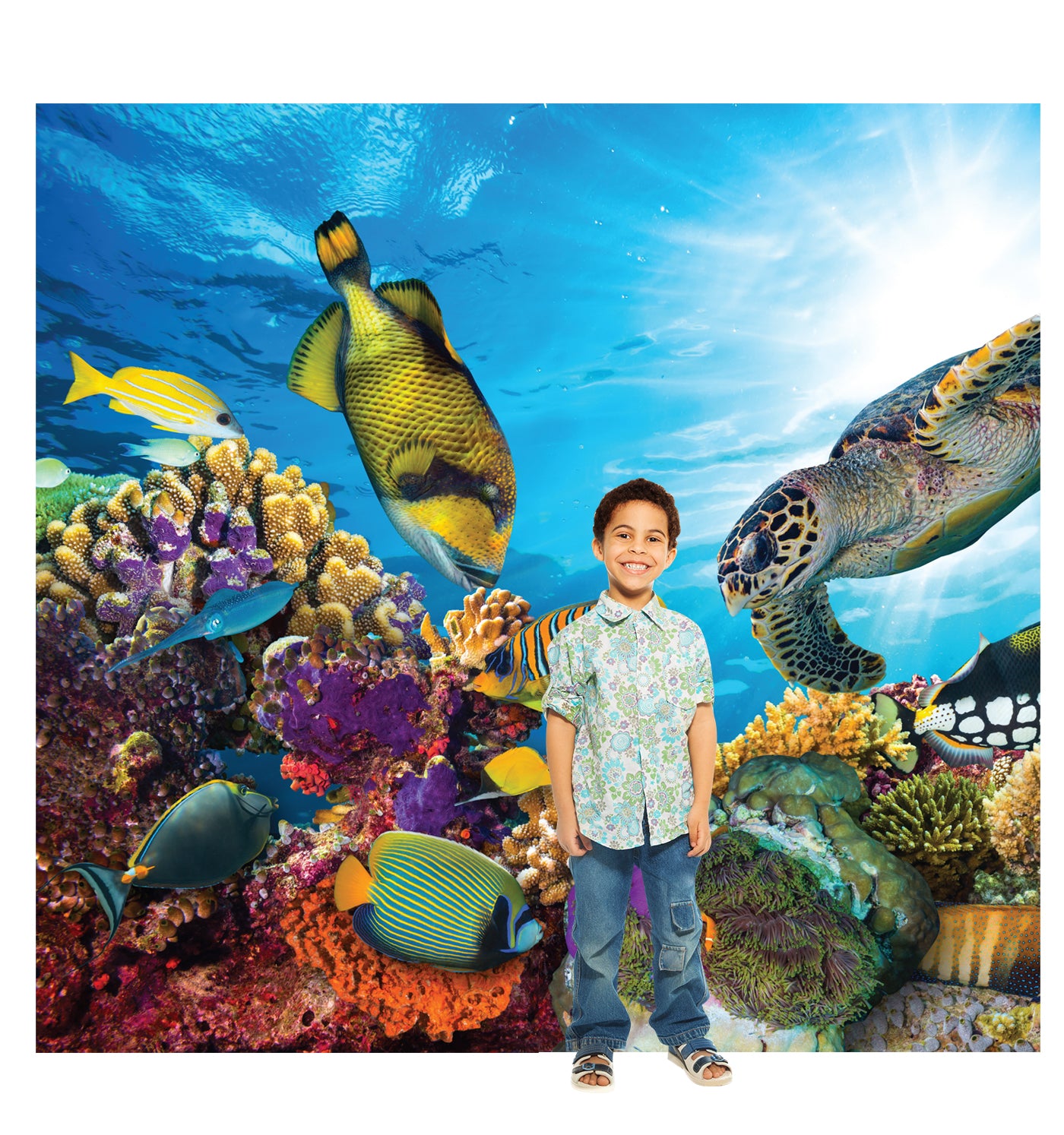 Coral Reef Life-Size Cardboard Backdrop Cutout - All Cutouts