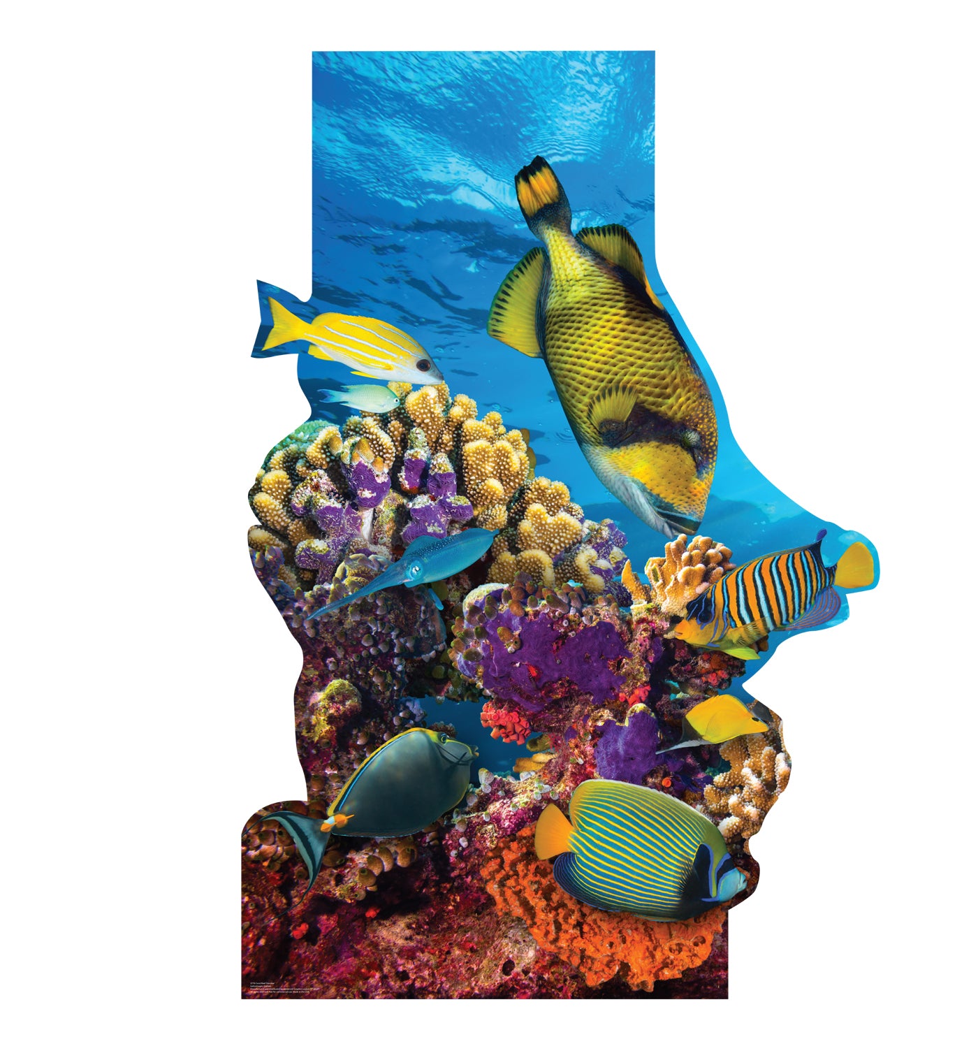 Life-Size Coral Reef Cardboard Stand-In - All Cutouts