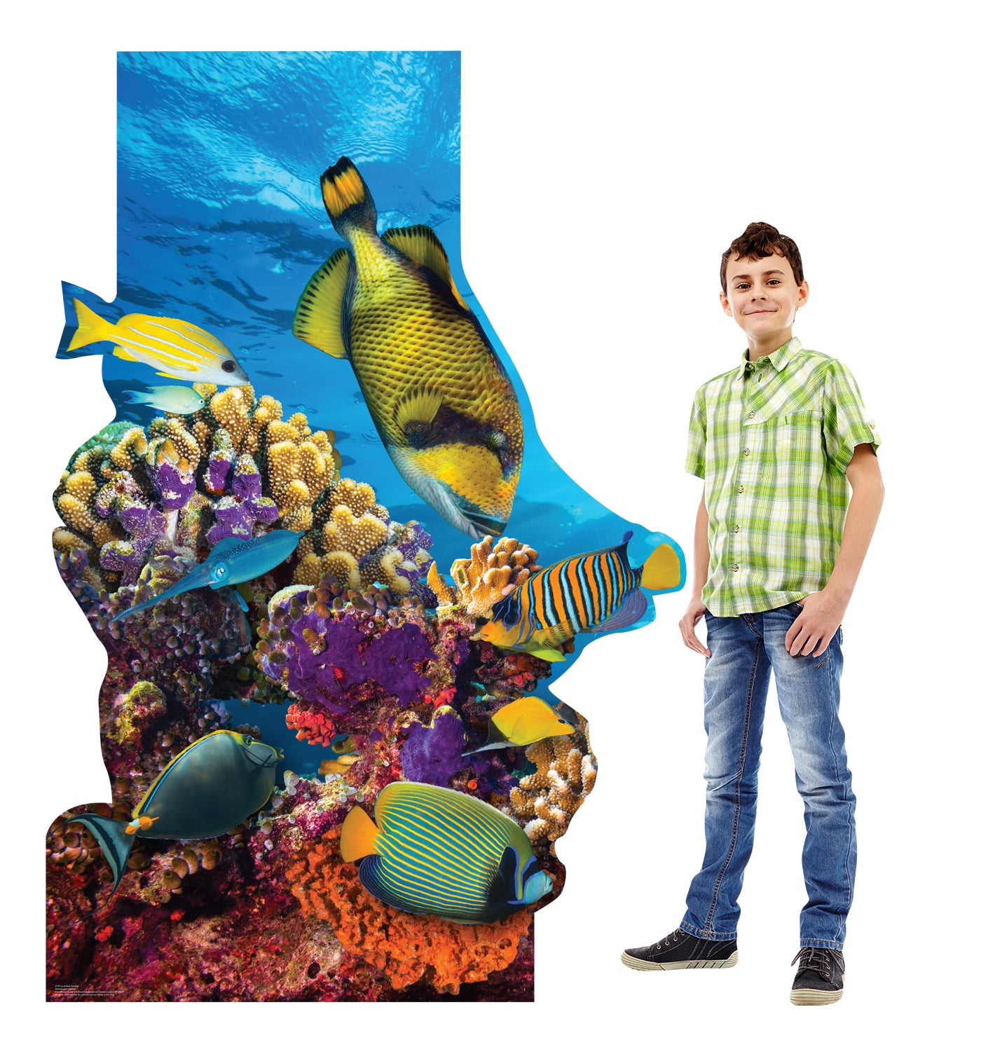 Life-Size Coral Reef Cardboard Stand-In - All Cutouts
