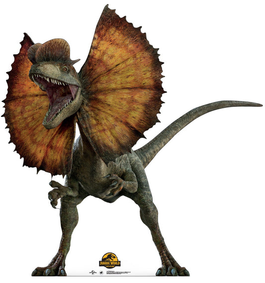 Life-Size Dilophosaurus Cardboard Cutout – Jurassic World Dominion - All Cutouts