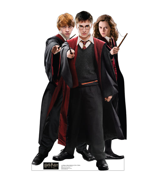 Life-Size Harry Potter & Friends Cardboard Cutout - All Cutouts