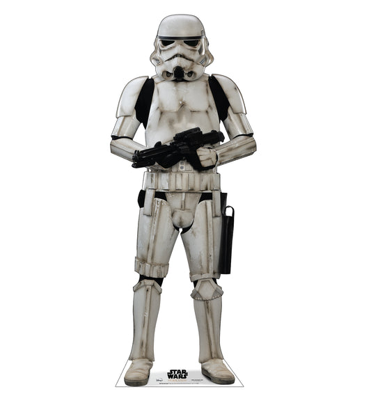 Life-Size Stormtrooper Cardboard Cutout - All Cutouts