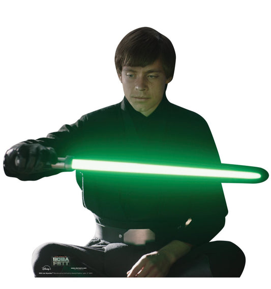 Life-Size Cardboard Cutout of Luke Skywalker - All Cutouts